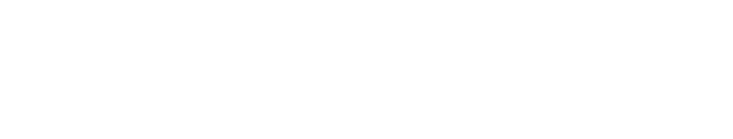 Dr. Daniel Bienstock logo