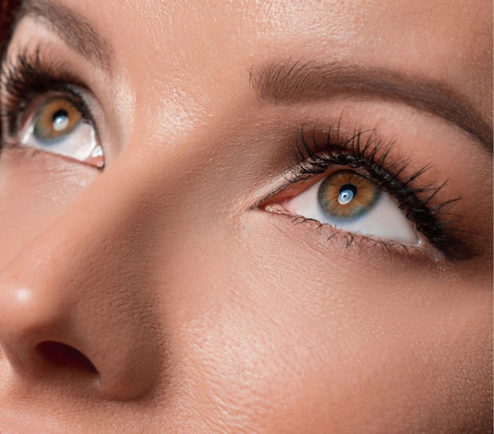 Close-up of woman's eyes with defined lids and full lashes
